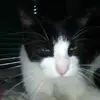michele cobb - @michele.cobb5 - TikTok