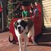 Michele Connolly - Facebook