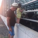 Michele Conte - @aziendazootecnicacontemichele - Instagram