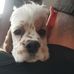 Michele Conte - Facebook