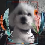 Michele Covelli - @merymiky2008 - Instagram