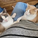 Michele Croft-Lohman - @croftlohman - Instagram