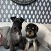 Michelle Croft - Facebook