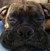 Michelle Crowell - Facebook