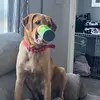 Michelle Cummings - @michellecummings61 - TikTok