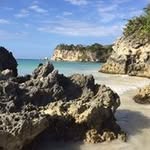 Michele Dahlinger - @micheledahlinger - Instagram