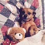 Michelle Denzer - @denzer1959 - Instagram