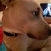 micheledobbs1970 - @micheledobbs1970 - TikTok