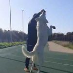 Michele Dipace - @michele_dipace_driver - Instagram