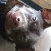 Michele Duncan - @michele.duncan86 - TikTok