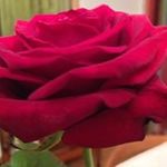 Michèle Dupré - @mi.jo.dupre - Instagram