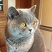 Michele Dupre - Facebook