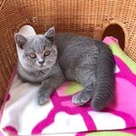 Michele Dupre - @michele.dupre.587 - Instagram