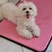 Michele Tari - Facebook