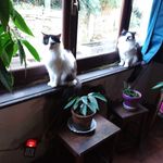 Michèle Ebert Ep Bonnafe - @bonnafemichele - Instagram