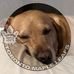 Michelle Ebert - Facebook