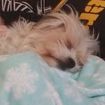 Michele Ely - @chelymae1972 - Instagram