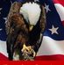 Michele Engle - Facebook