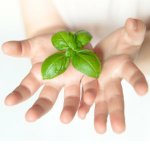 Michele Epps - @organicforless - Instagram