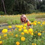 Michelle Howeth Epps - @michelle.epps - Instagram