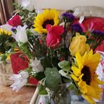 Michele Everett - Facebook
