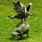 Michele Farina - @michele.farina.587 - Instagram
