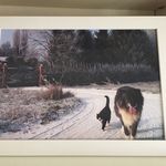 Michele Farina - @michele_opanai_farina - Instagram