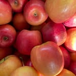 Michele Farina - @la_fattoria_di_michele - Instagram