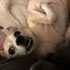 micheleferrisvana - @michele.ferris.va - TikTok