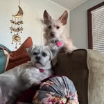Michele Fields - @trixi3230 - Instagram