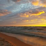 Michele Fields Knaak - @intheweeds2713 - Instagram