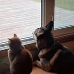 Michele Fleury - @mich_lives_rural - Instagram