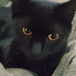Michèle Fleury-Morin - @perneravel - Instagram