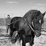 Michele Florio - @michele_florio99 - Instagram