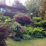 Michele Fraser - @michele.fraser.986 - Instagram