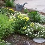 Michele Fraser - @draggarden - Instagram