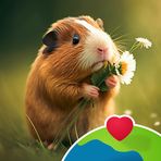 Michelle Fraser - Facebook