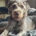 Michele Freund - Facebook