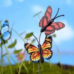 Michele Fried - Facebook