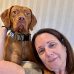 Michele Fried - @themommy_ - Instagram