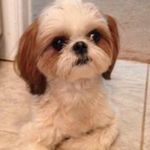 Michele Fried - @shelley7867 - Instagram
