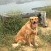 Michele Friedman - Facebook