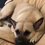 Michele Friedman - @ml_friedman - Instagram