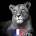 Michèle Friedmann - Facebook