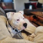 Michele LeDue Friedman - @micheleleduefriedman - Instagram