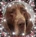 Michelle Gage - Facebook