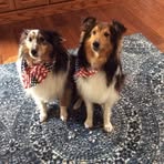 Michele Gentry - Facebook