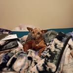 Michelle Gentry - Facebook
