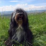 Michele Gerber - @michelegerber1212 - Instagram