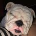 Michele Gerber - Facebook